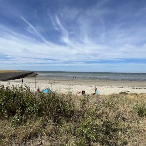 Beach of Colijnsplaat