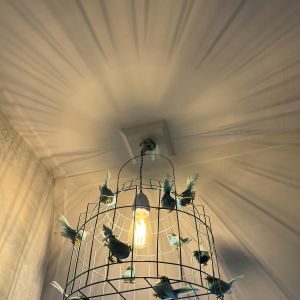 Even birds in the house on the chandelier